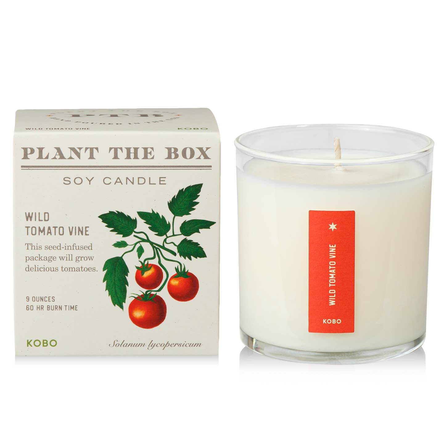 Plant The Box Candle - Multiple Fragrances