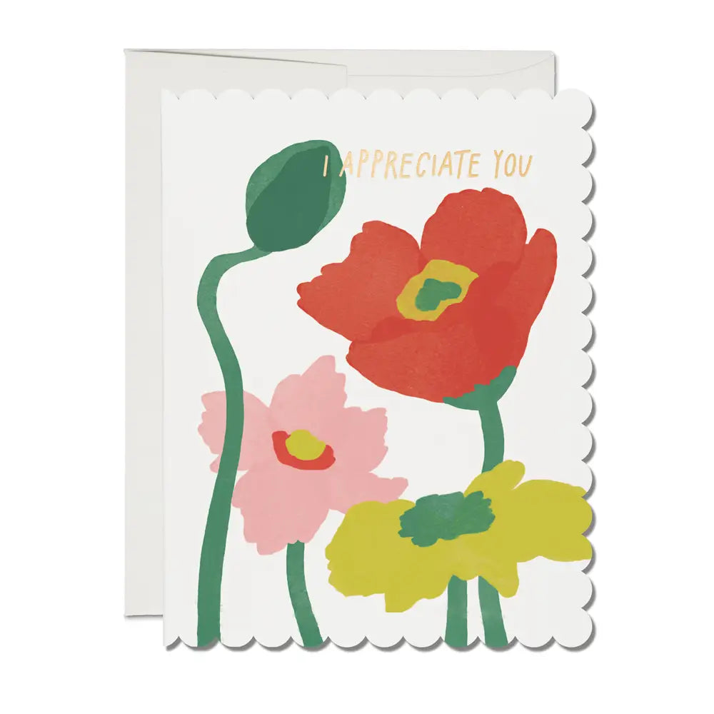 Scalloped Poppy I Appreciate You Card Boxed Set