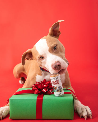 Stocking Stuffer Mini Tube Dog Treat