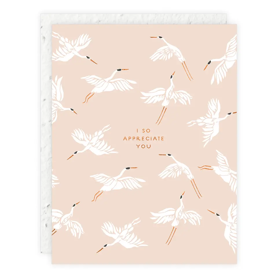 Plantable Card - Appreciate You