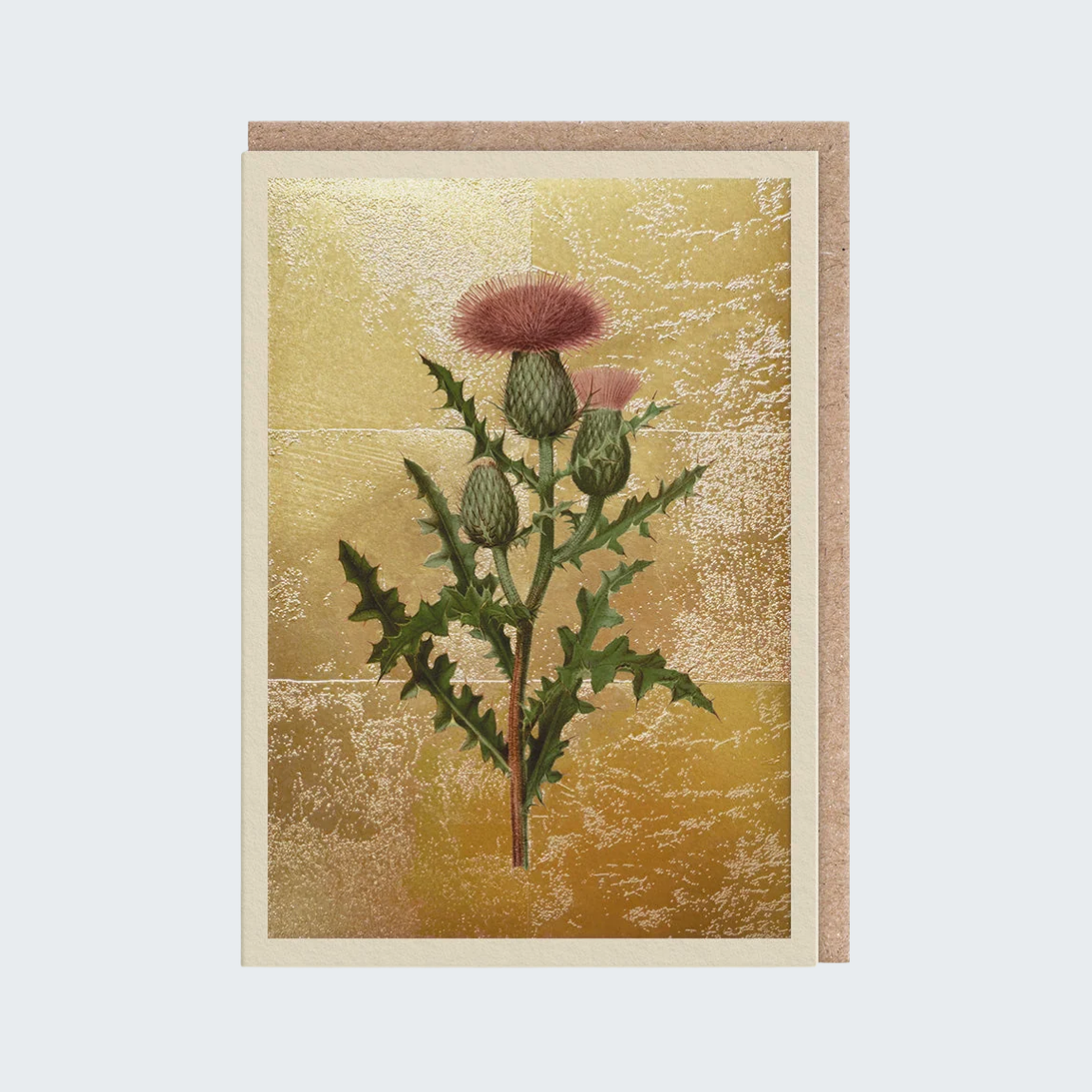 Thistle Card