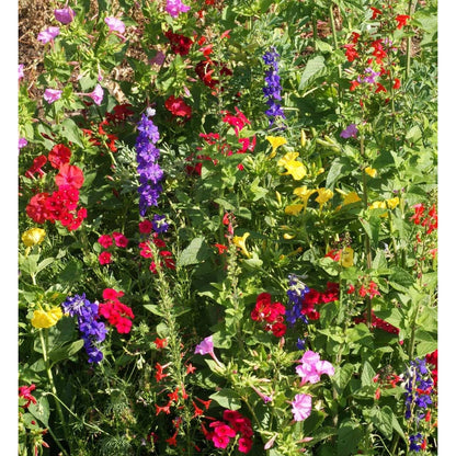 Garden Sprinkles Tins