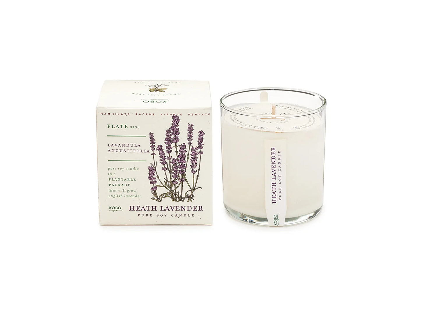 Plant The Box Candle - Multiple Fragrances