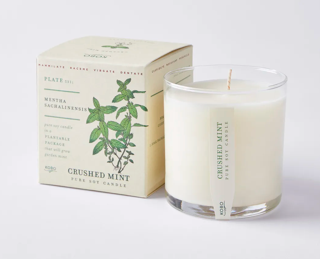 Plant The Box Candle - Multiple Fragrances