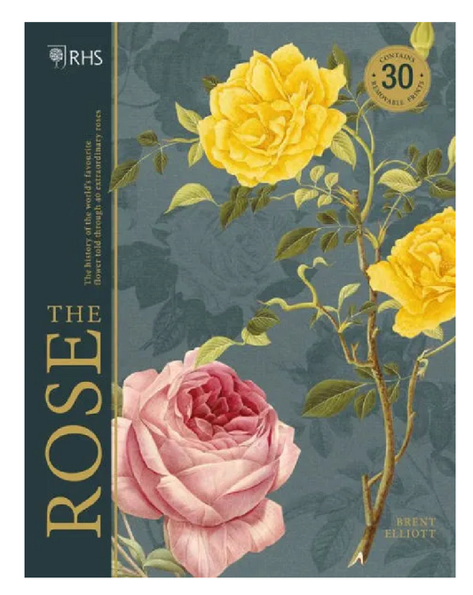 RHS: The Rose